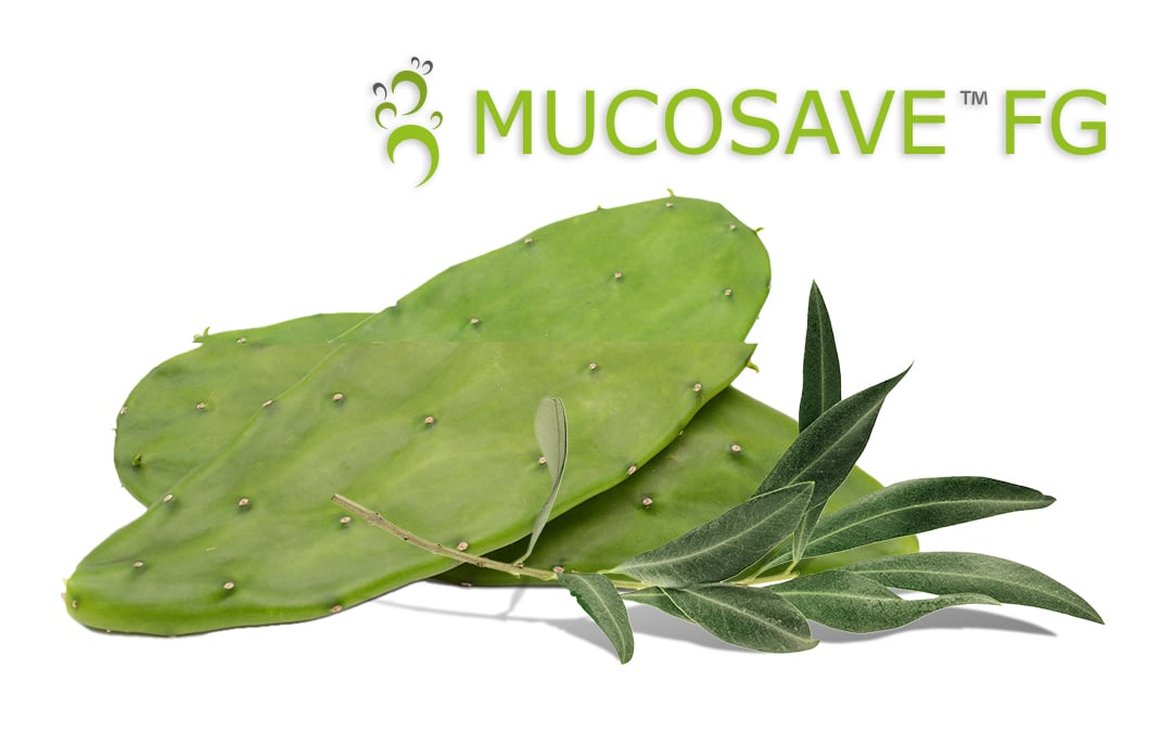 Mucosave - Actif objectivé